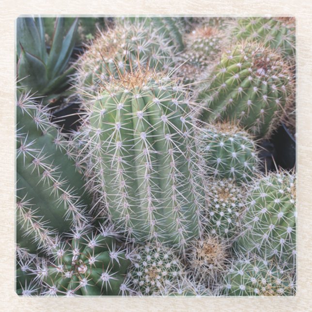Cactus Glass Coaster (Front)