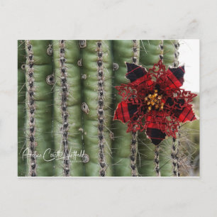 Cactus Holiday Postcard