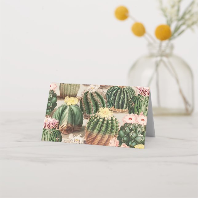 Cactus Illustration Place Card (Front)