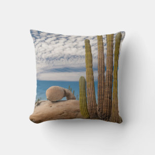 Cactus In Desert Scenic Cushion