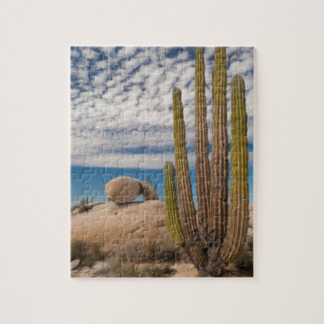 Cactus In Desert Scenic Jigsaw Puzzle (Vertical)
