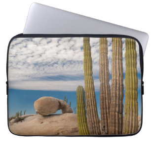 Cactus In Desert Scenic Laptop Sleeve
