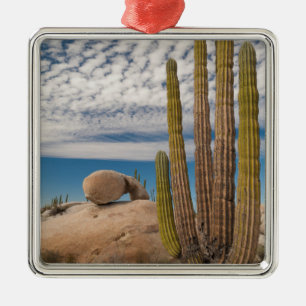 Cactus In Desert Scenic Metal Ornament