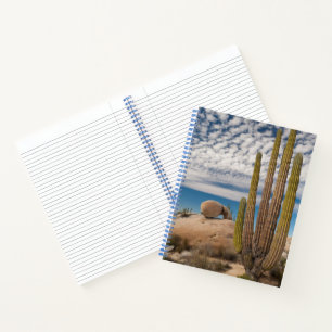 Cactus In Desert Scenic Notebook