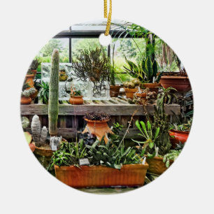 Cactus in Greenhouse Ceramic Ornament
