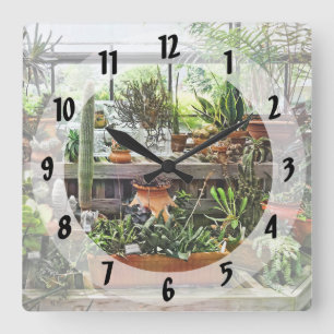 Cactus in Greenhouse Square Wall Clock