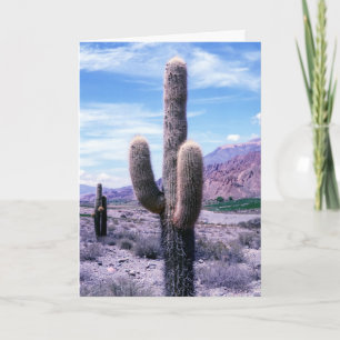 Cactus in Jujuy Province - Northern Argentina Card