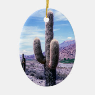 Cactus in Jujuy Province - Northern Argentina Ceramic Ornament
