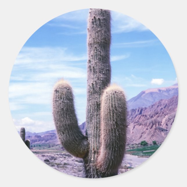 Cactus in Jujuy Province - Northern Argentina Classic Round Sticker (Front)