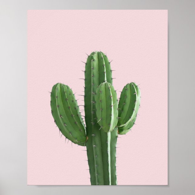 Cactus in Pink Poster (Front)