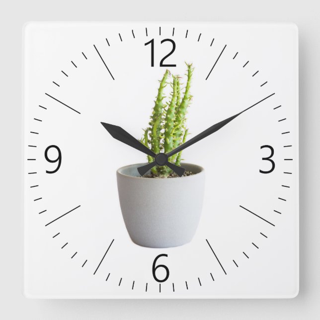 Cactus in pot square wall clock (Front)