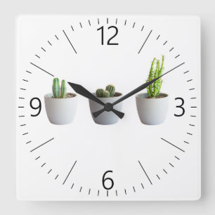 Cactus in pots square wall clock