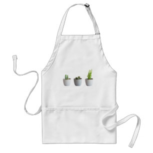 Cactus in pots standard apron