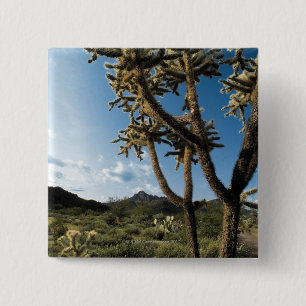 Cactus in Saguaro National Park , Arizona 15 Cm Square Badge
