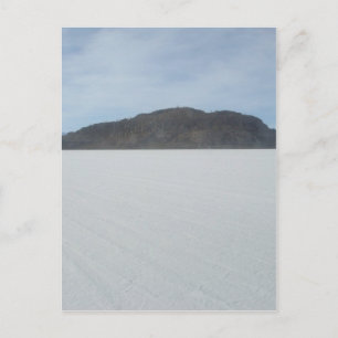 Cactus Island Postcard