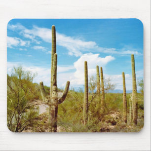 Cactus landscape mousepad