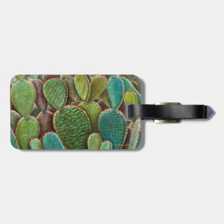 Cactus Luggage Tag