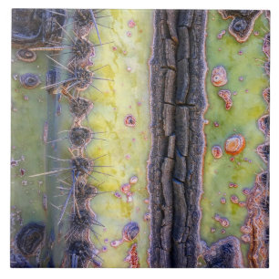 Cactus Macro Ceramic Tile