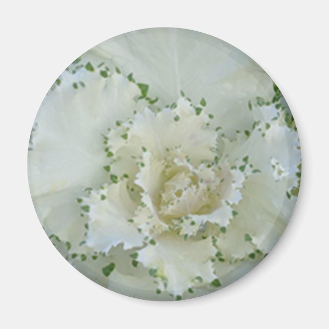 Cactus Magnet (Front)