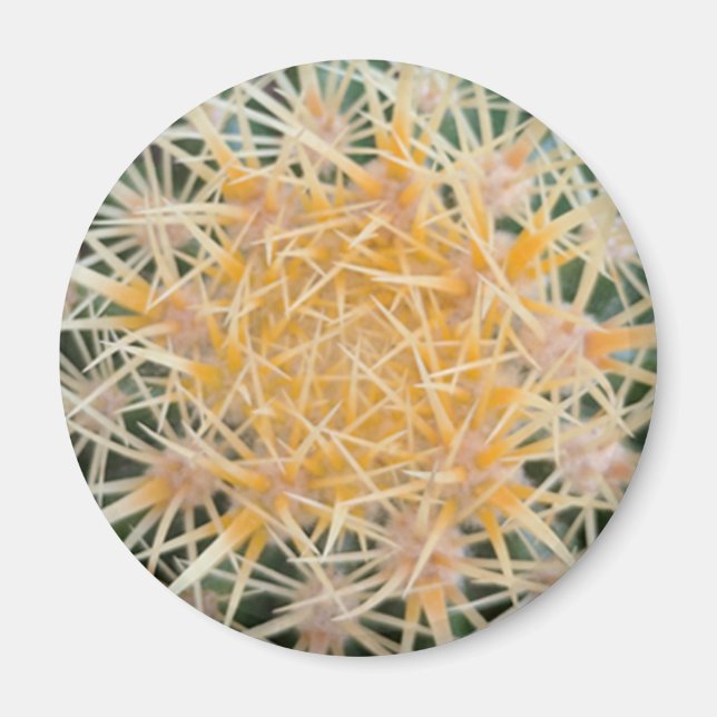 Cactus Magnet (Front)