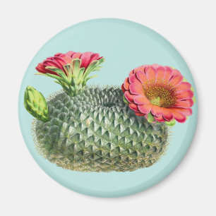 Cactus Magnet