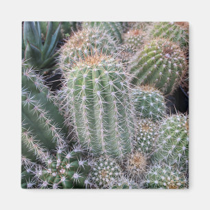 Cactus Magnet