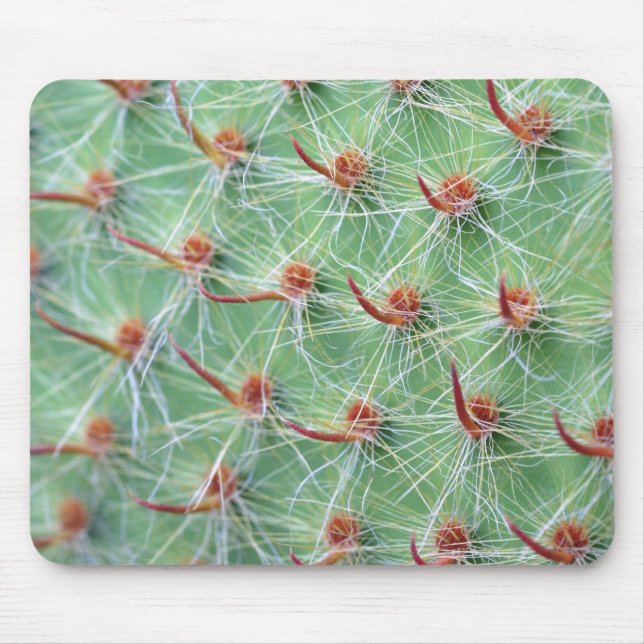 cactus mouse pad (Front)