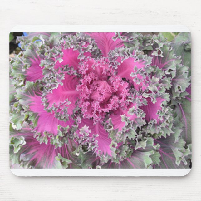 Cactus Mouse Pad (Front)