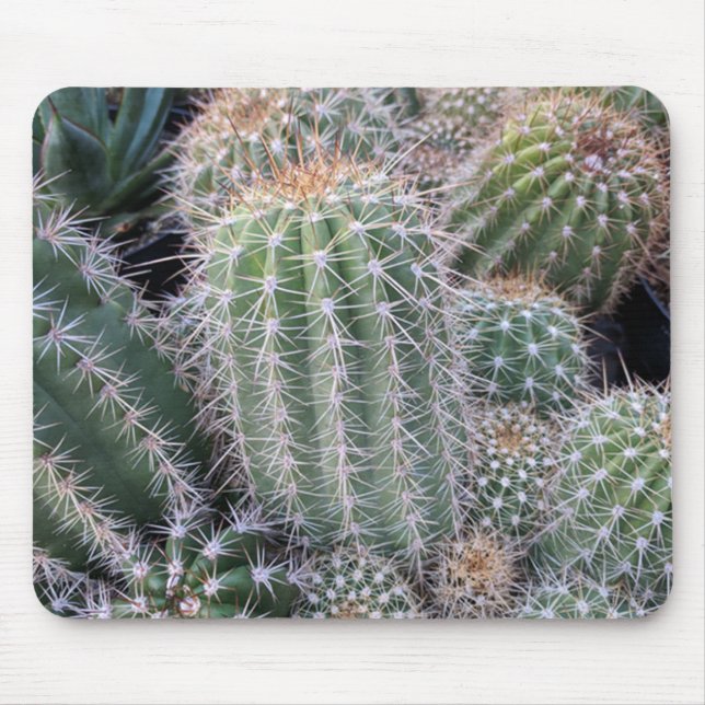 Cactus Mouse Pad (Front)