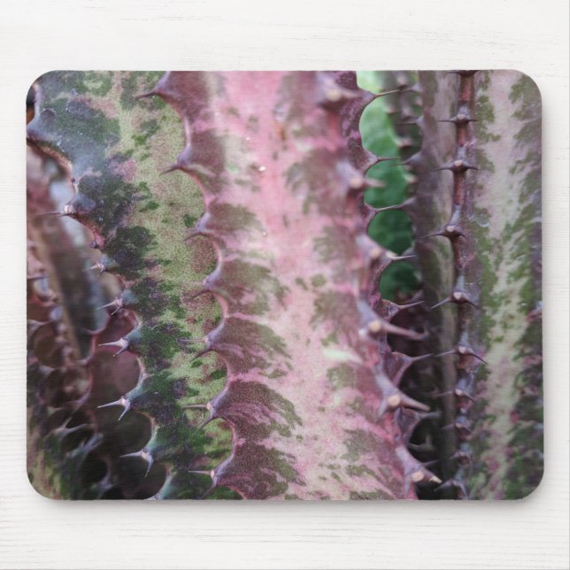 Cactus Mouse Pad (Front)