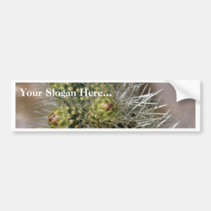 Cactus Needles In Anza Borrego Desert Bumper Sticker