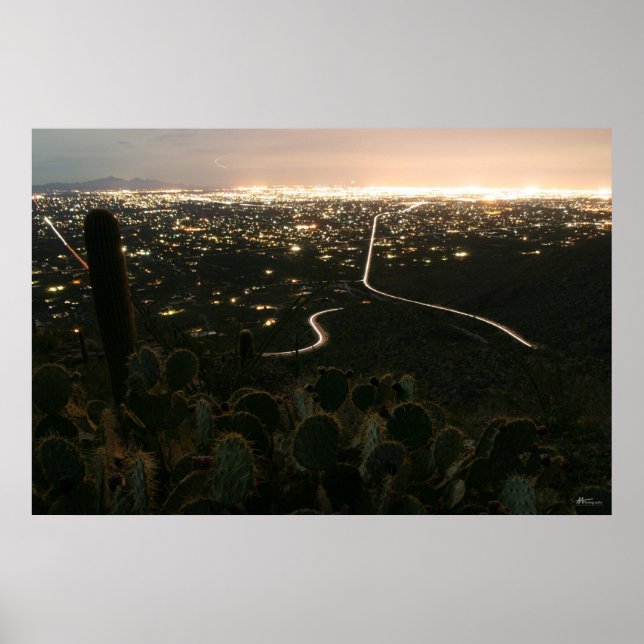 Cactus Night Lights Poster (Front)