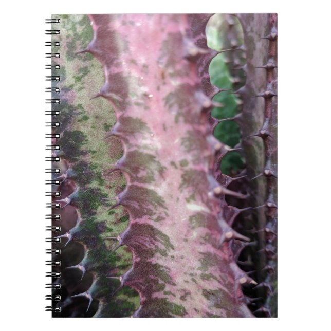 Cactus Notebook (Front)