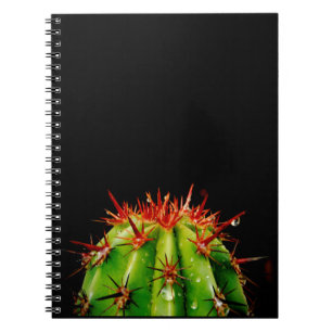 Cactus Notebook