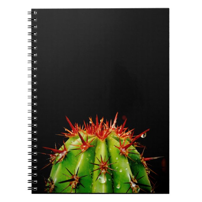 Cactus Notebook (Front)
