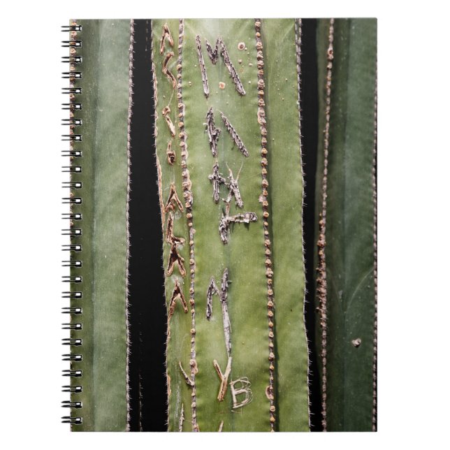 Cactus Notebook (Front)