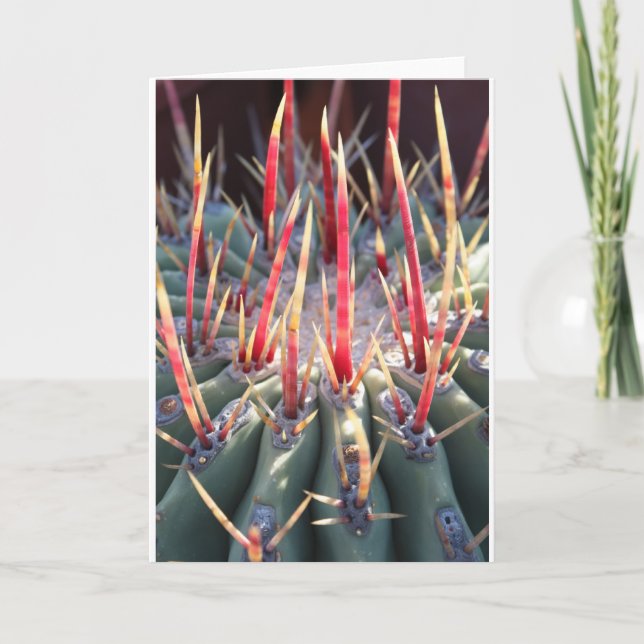 Cactus notecard (Front)