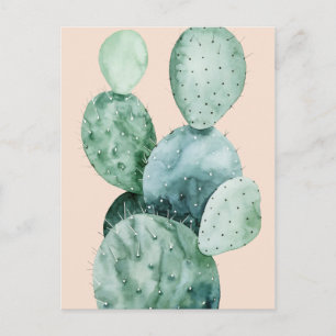 Cactus on Coral Postcard
