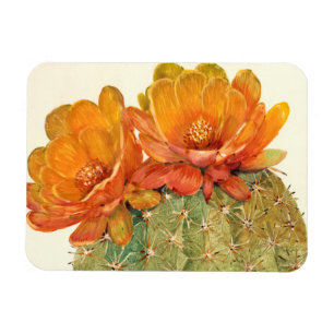 Cactus Orange Blossoms Magnet
