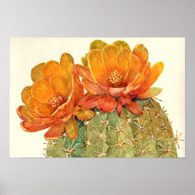 Cactus Orange Blossoms Poster (Front)