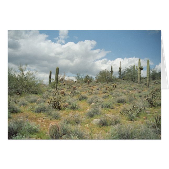 Cactus Pastoral Sweep Greeting Card or Note Card (Front Horizontal)