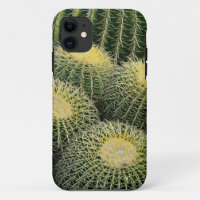Cactus Pattern