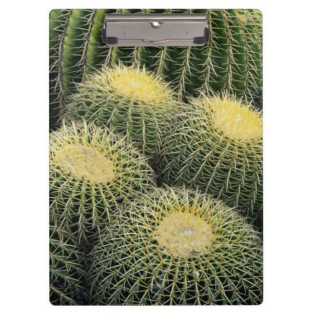 Cactus Pattern Clipboard (Front)