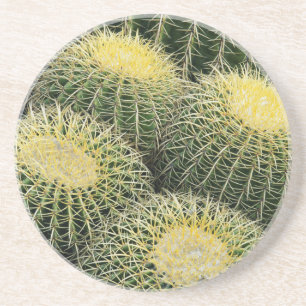 Cactus Pattern Coaster