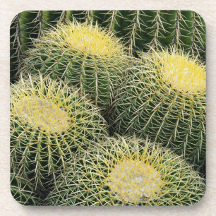 Cactus Pattern Coaster