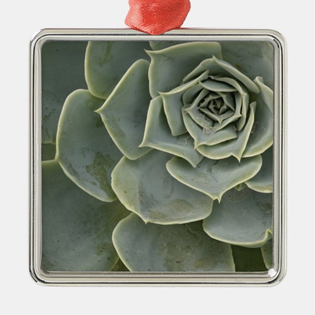 Cactus pattern metal ornament (Front)