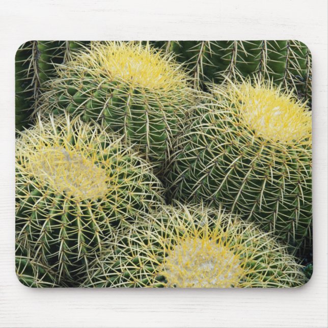Cactus Pattern Mouse Pad (Front)
