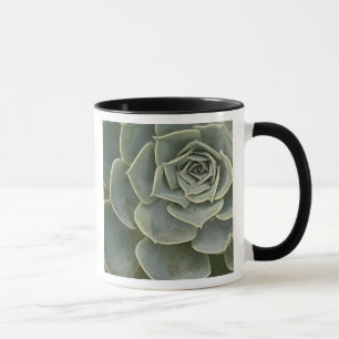 Cactus pattern mug