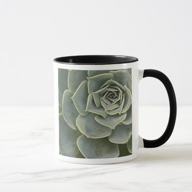 Cactus pattern mug (Right)