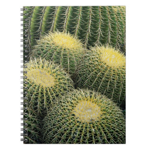 Cactus Pattern Notebook